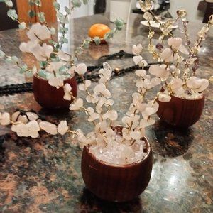 Crystal Healing Plants - (Amethyst, Citrine, Rose Quartz, Prehnite, etc)